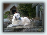 IMG_0005