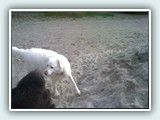 the beach 010