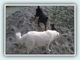 the beach 034