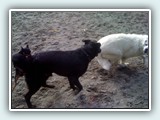 the beach 037
