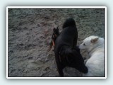 the beach 040