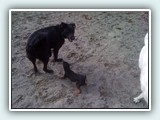 the beach 043