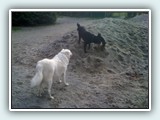 the beach 048