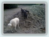 the beach 050