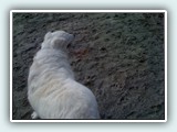 the beach 054